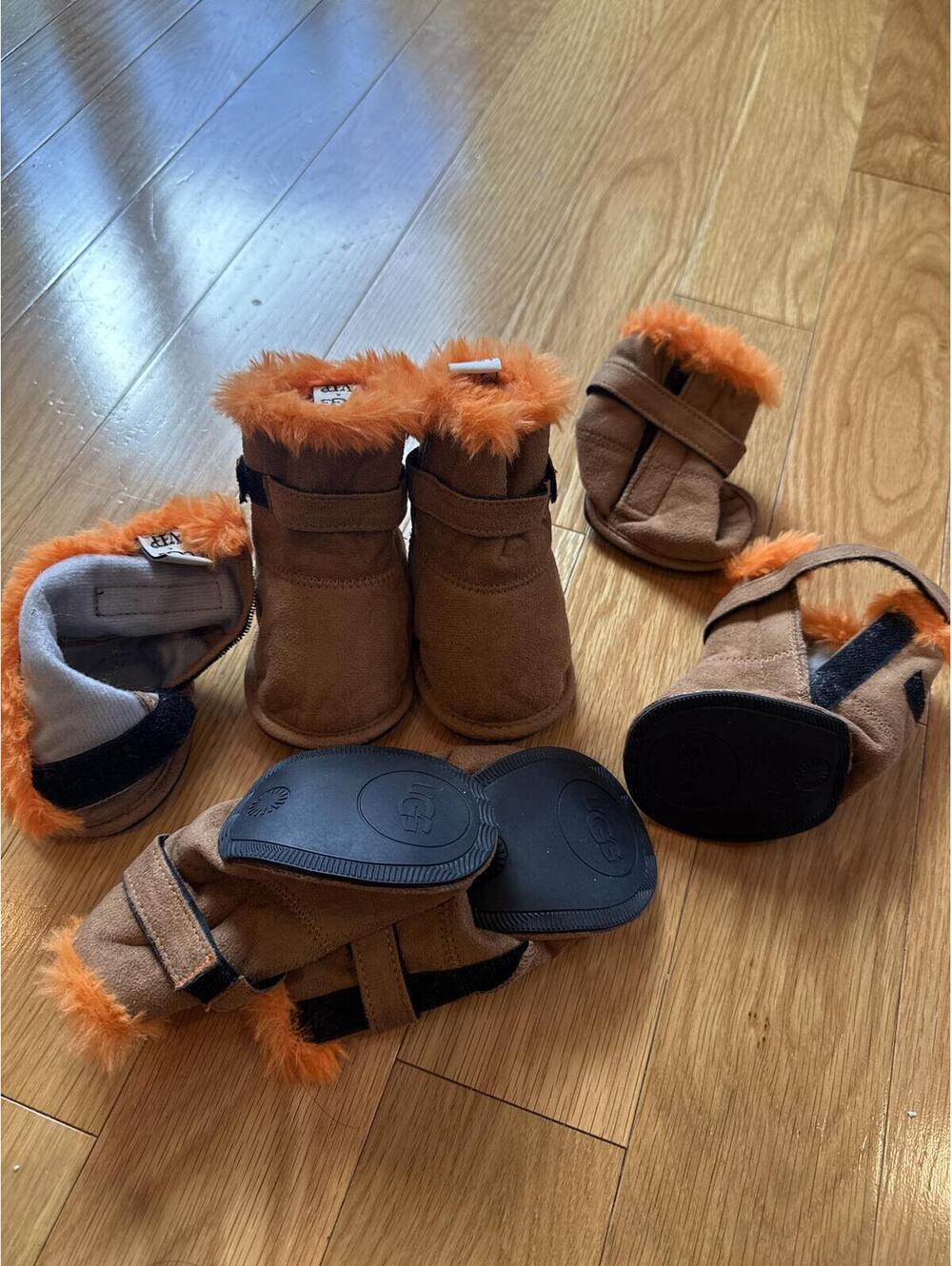 UGG Dog Boots with Orange Fur Trim